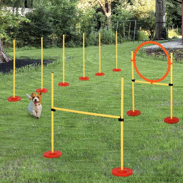 PawHut Outdoor 3 PC Dog Pet Agility Training Garden Starter Obstacle Set for Dog | TJ Hughes