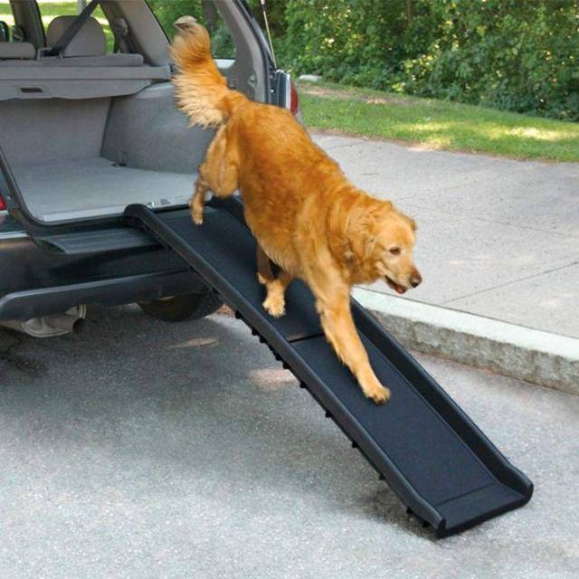 All For Paws Dog Bilramp (Plast)
