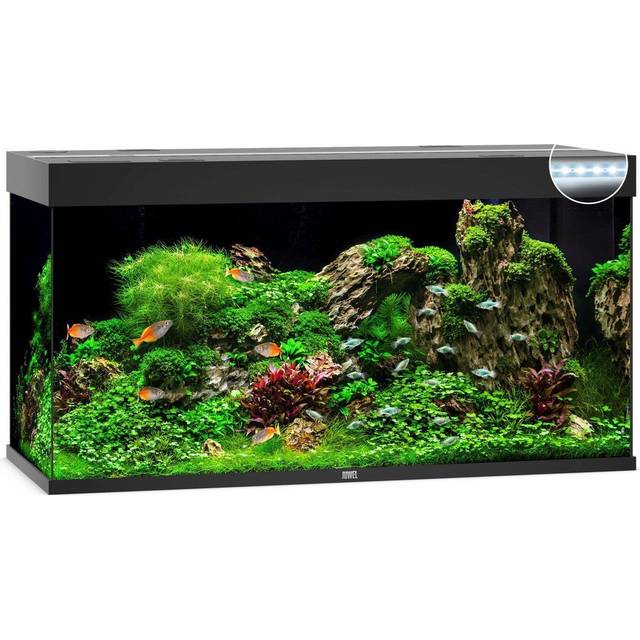Juwel Rio 350 liter LED - Svart