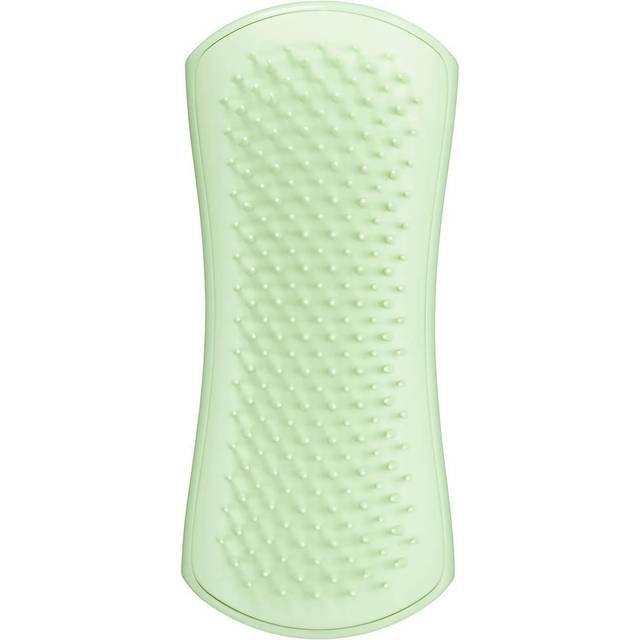 Husdjur teezer, husdjur valp skötborste, mint