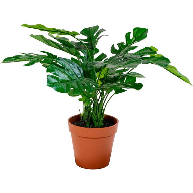 House Nordic - Konstgjord växt Monstera. Växt av PE plast. Ø 40 cm. - Grön - Konstgjorda växter & plastblommor - Från Homeroom