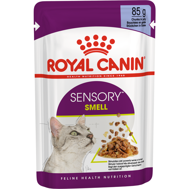 Royal Canin Sensory Smell i gel&#xE9; - 12 x 85 g