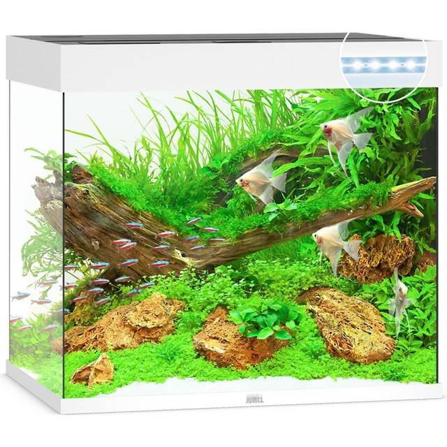Juwel Lido 200 liter LED - Vit
