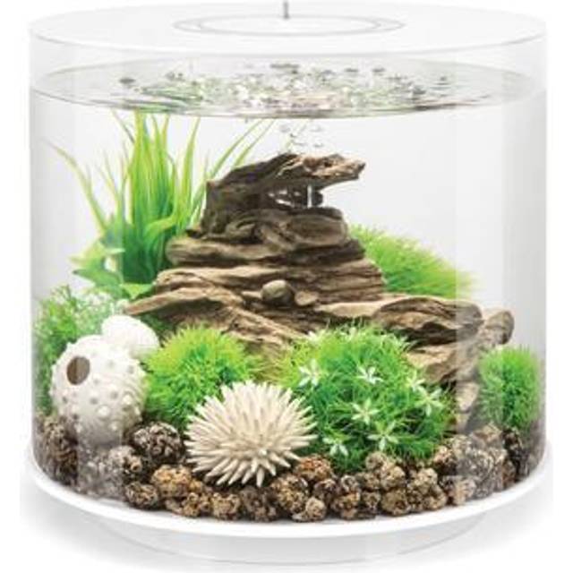 biOrb TUBE 15 LED, White