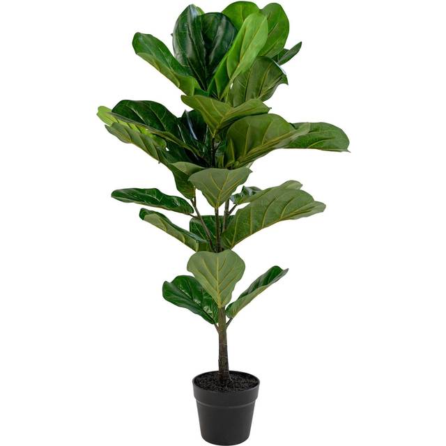 Artificial plant House Nordic Fiddle Leaf - Vert - 46x36x100 cm
