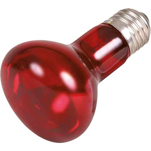 heating lamp Reptiland 75 watt E27 infra red