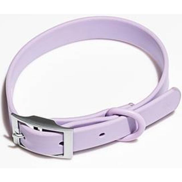 Splendid x Wild One Dog Collar