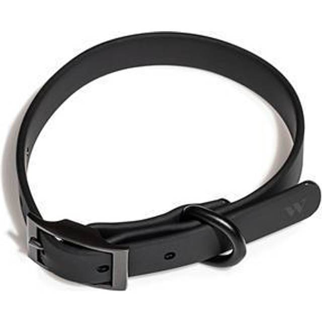 Splendid x Wild One Dog Collar