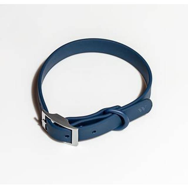 Splendid x Wild One Dog Collar