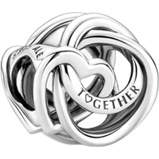 Pandora  Charms Always Family Circle Heart Charm 791507C00