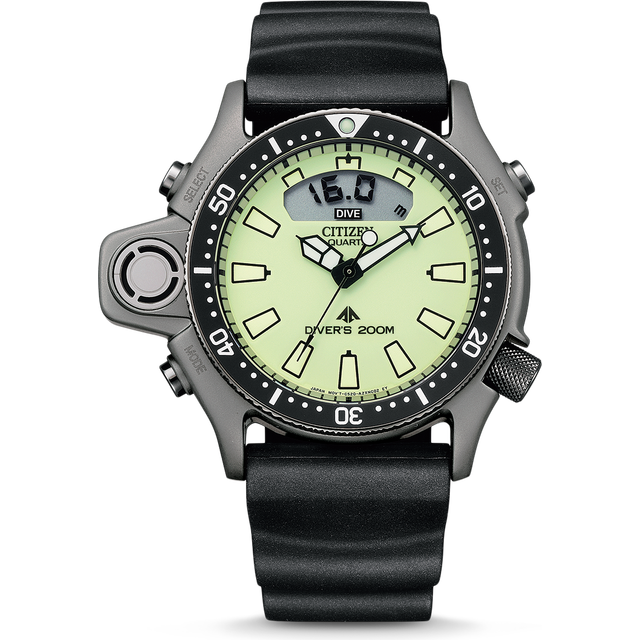 Citizen Watch JP2007-17 W, svart, One Size, Rem