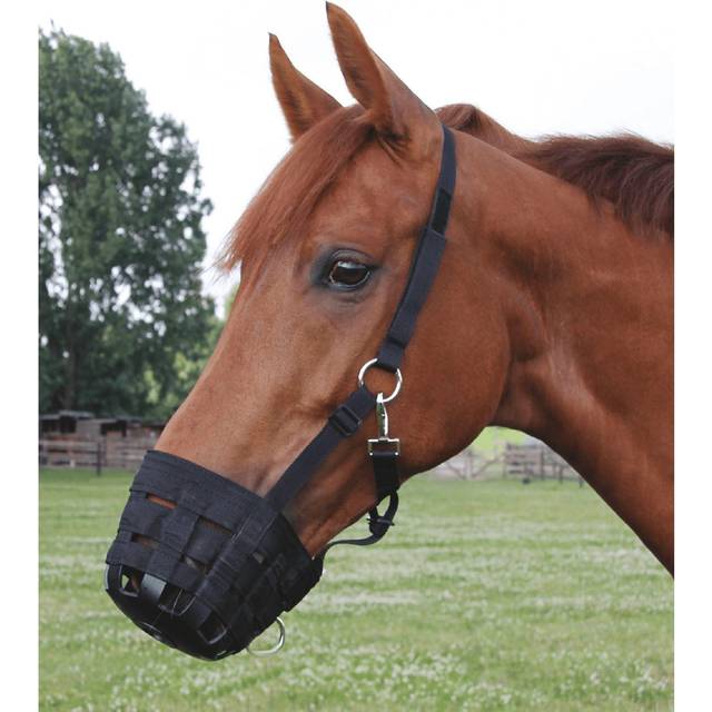 Waldhausen Mundkurv/ foder bremse Pony