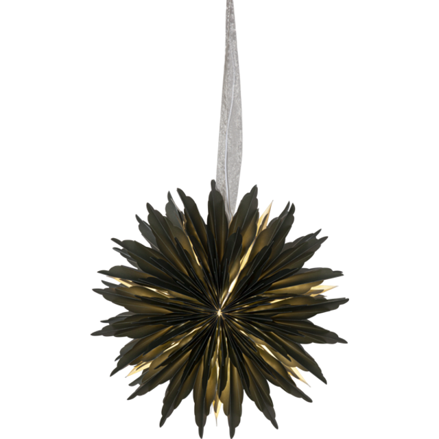 Dis pappersstjärna, grön, 40 cm - Grön