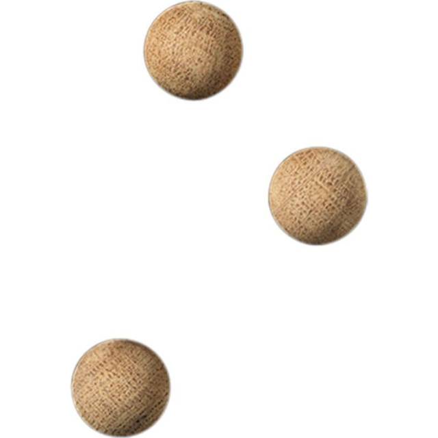 Oak dot magnet, Super Strong Magnet