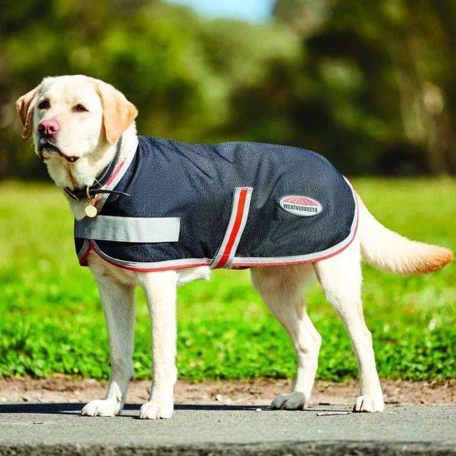 Weatherbeeta Comfitec Therapy-Tec 1200D Dog Coat - 35cm