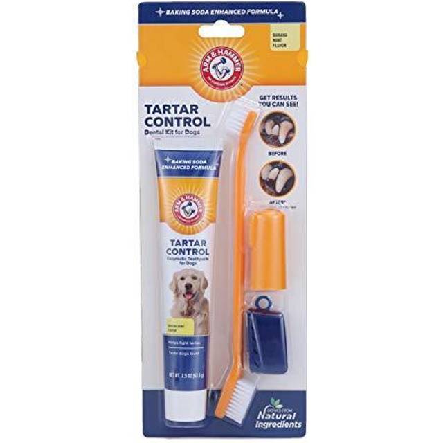 Arm & Hammer, Tartar Control, Dental Kit for Dogs, Banana Mint