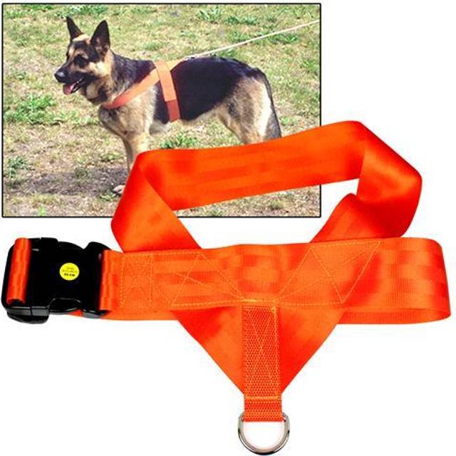 DS Orange Spårsele 50 cm