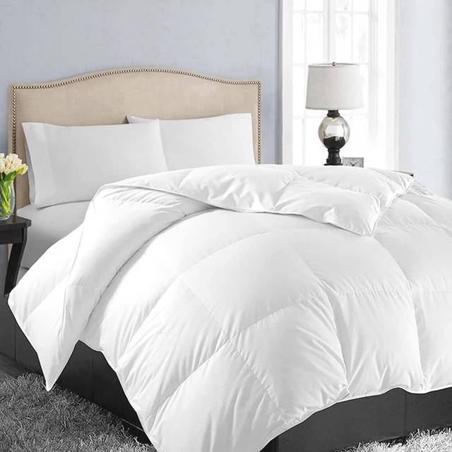 EASELAND All Season Queen Size Soft Quilted Down Alternative Comforter Reversible Duvet Insert with Corner Tabs Winter Summer Warm Fluffy White 88x88