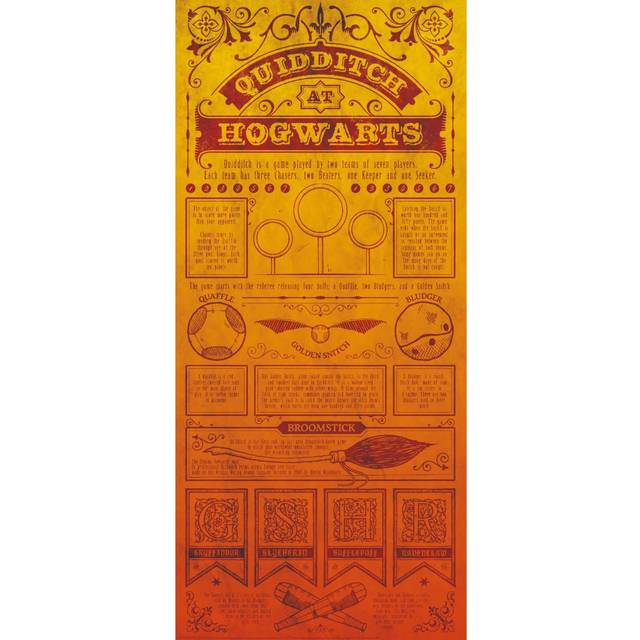 Harry Potter Premium Limited Edition Art Print - Quidditch Rules