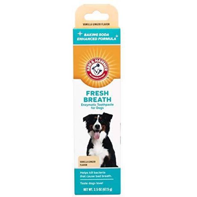 Arm & Hammer, bad breath removal, enzyme toothpaste, for dogs, vanilla ginger, 67.5 g (2.5 oz)