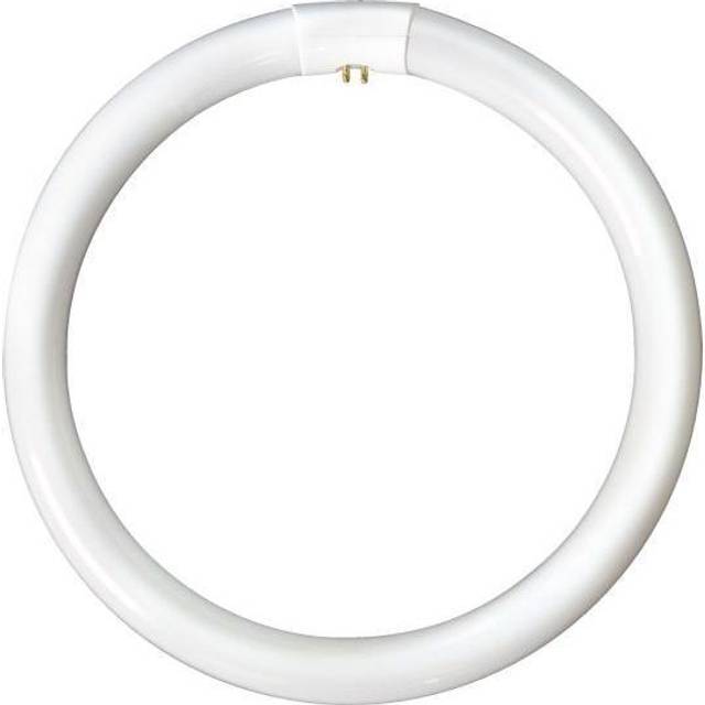 Bell 40w 840 T9 Circular Fluorescent Tube - Cool White