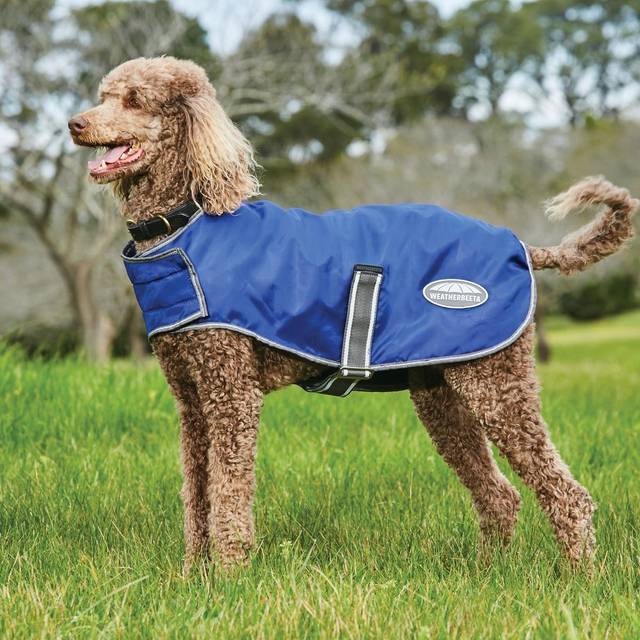 Comfitec Windbreaker Free Dog Coat, Blue - 45CM