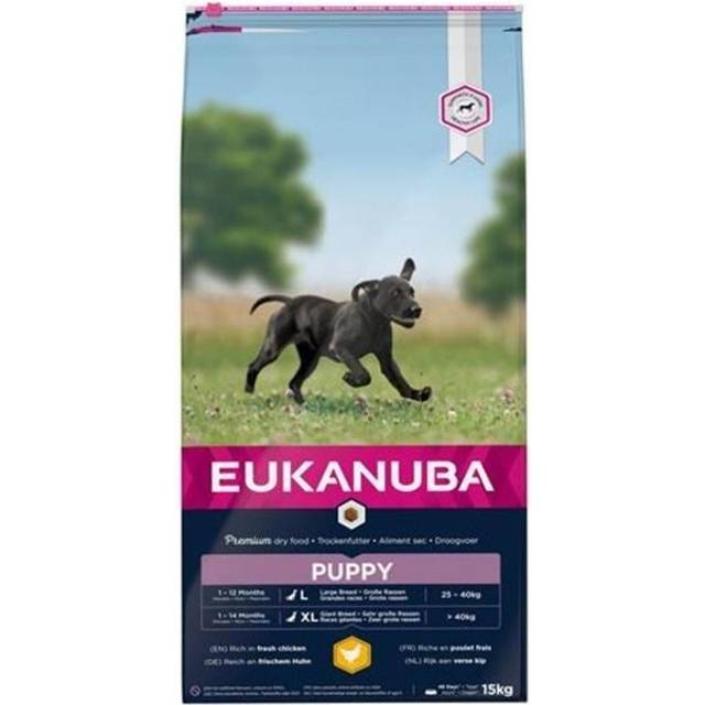 Eukanuba Valpmat med färsk kyckling för stora raser, premium torrfoder för valpar, 15 kg