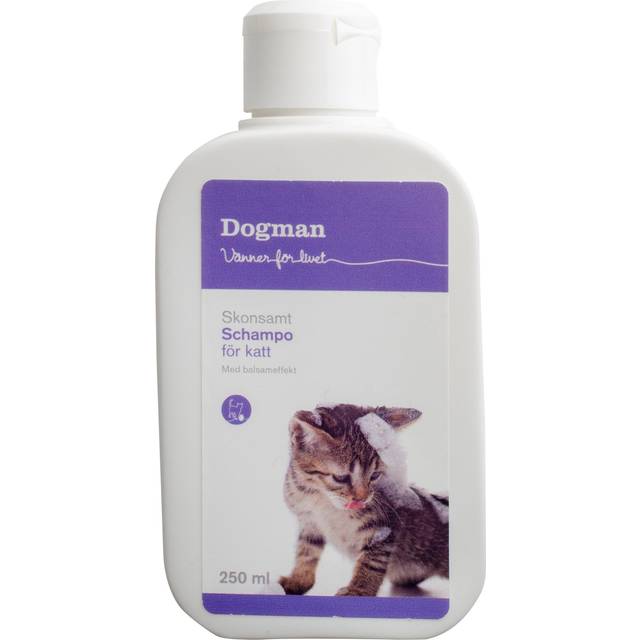 Kattschampo