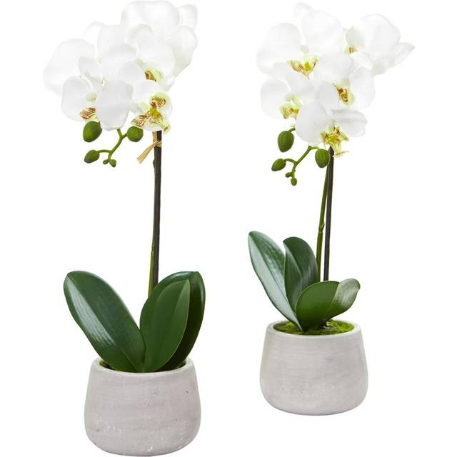 Nearly Natural Phalaenopsis Orchid Artificial Arrangement (Set of 2)