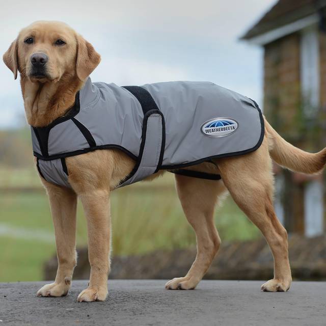 Weatherbeeta Comfitec Reflective Dog Coat - Silver