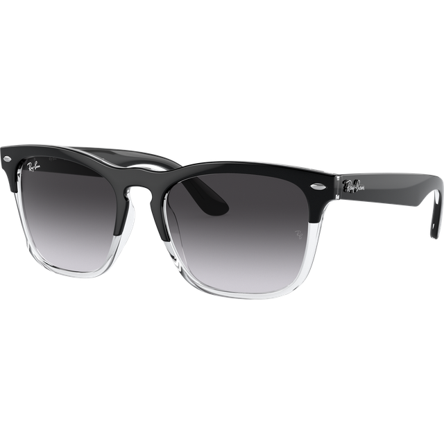 Ray-Ban Steve - RB4487 66308G 5418