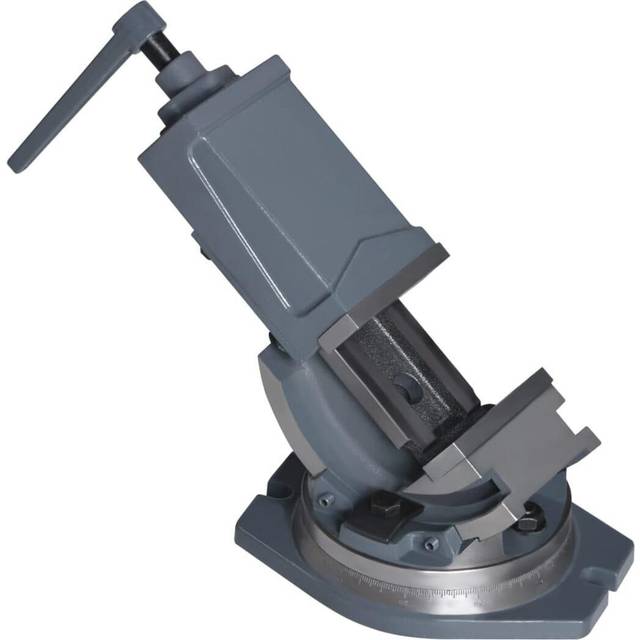 vidaXL 2-Axis Tilting Vice 100 mm