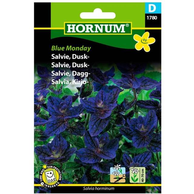 Hornum Salvie, Dusk- D 1780 Blomsterfrø