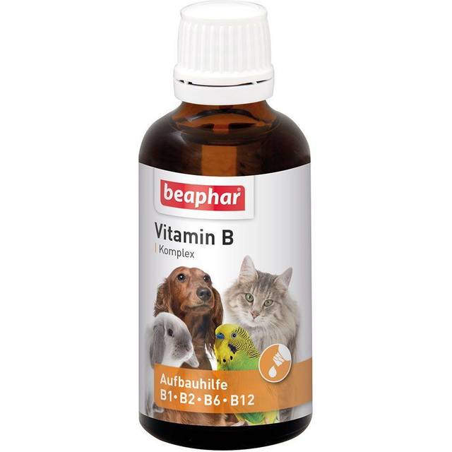 BEAPHAR – Vitamin B komplex för hundar, katter, gnagare, fåglar – vitamin uppbyggande behandling B1, B2, B6, B12 – stöder försvaret – aptitstimulerande – ökar välbefinnandet – 50 ml