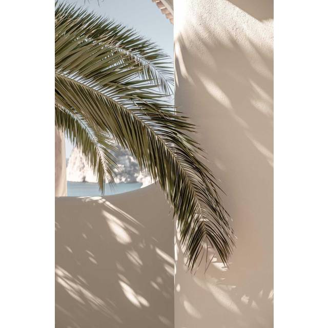 Palmleaf Poster