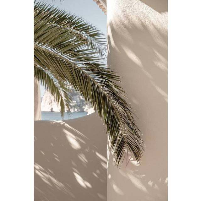 Palmleaf Poster