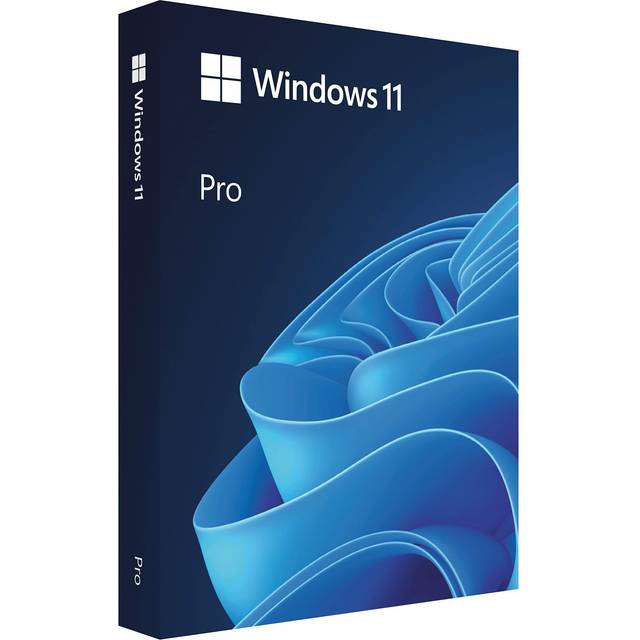 Microsoft Windows 11 Professional OEM - Lifetime License