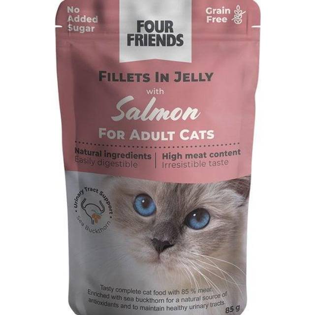 FourFriends Cat Adult Salmon in Jelly Pouch