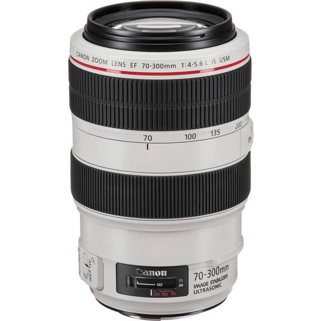 Canon EF 70-300mm f/4-5.6L IS USM Lens