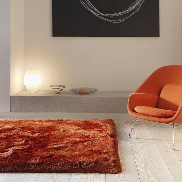 Plush Deep Pile Shaggy Rug - Rust, 160 x 230cm (160 x 230cm)