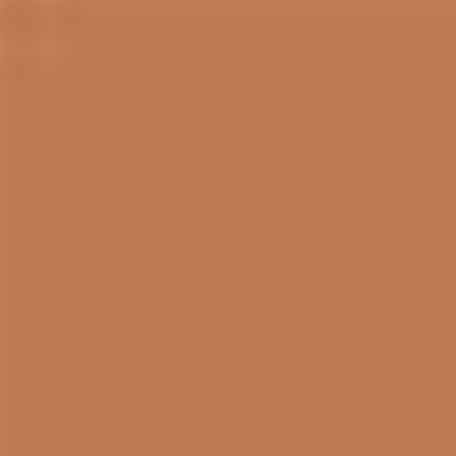 Guerlain Parure Gold Skin Matte Foundation 5N