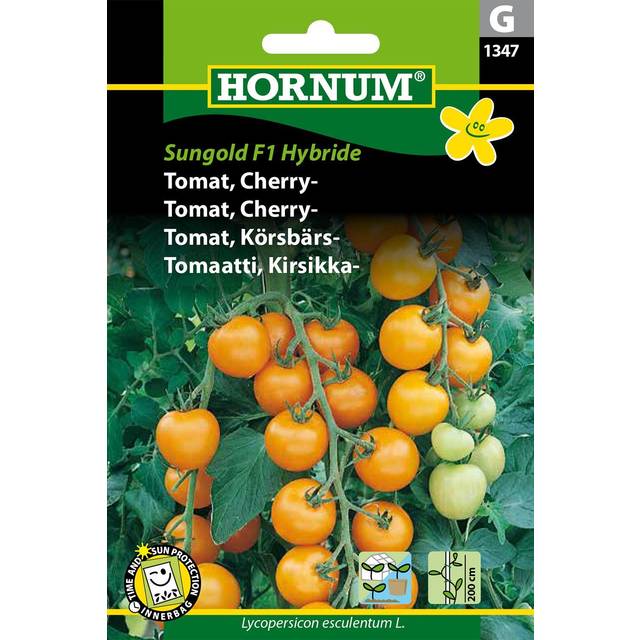 Hornum Cherrytomat, Sungold F1