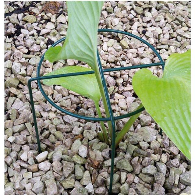 Small Simple Ring (Pack of 4) - Steel - L20.3 x W20.3 x H30.4 cm - Green