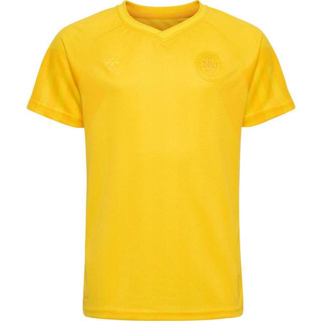 Hummel Kid's Denmark Goalkeeper Shirt WC 2022 - Sports Yellow