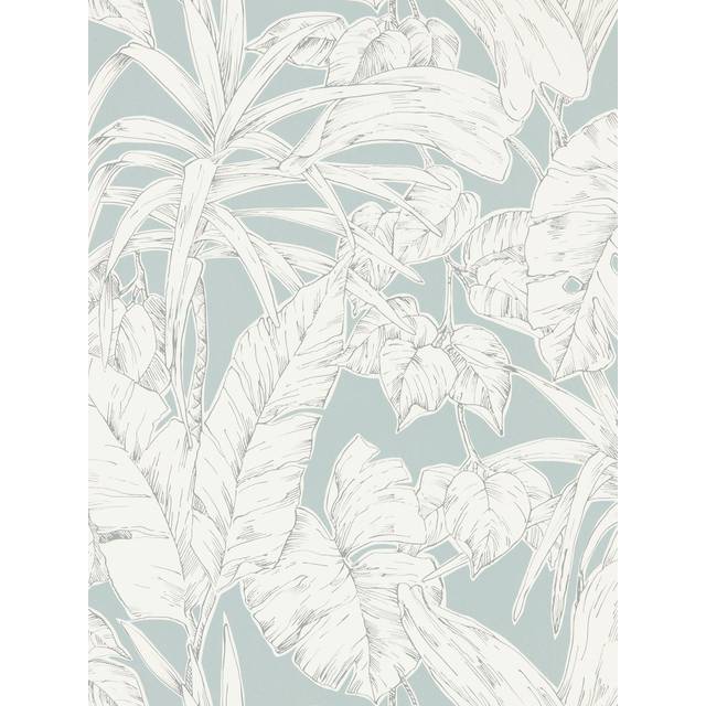 Parlour Palm - 112025
