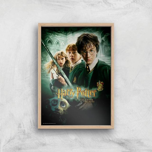 Harry Potter and the Chamber Of Secrets Giclee Art Print - A2 - Wooden Frame - Multi