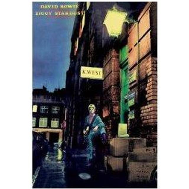 David Bowie Ziggy Stardust Poster multicolour - Onesize