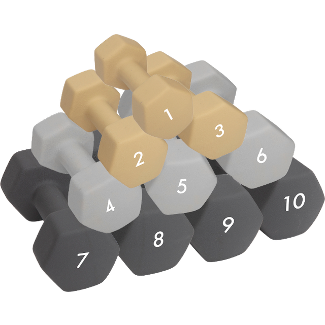 Abilica Hex Neoprene Dumbbell, 1 kg