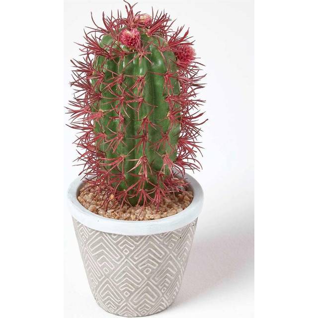 Denmoza Artificial Cactus with Flowers in Patterned Pot, 25 cm Tall - Green