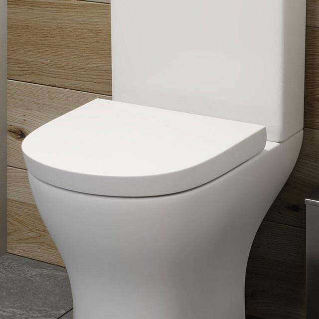 Ceramica Arles Soft Close D-Shape Toilet Seat - Top Fix White